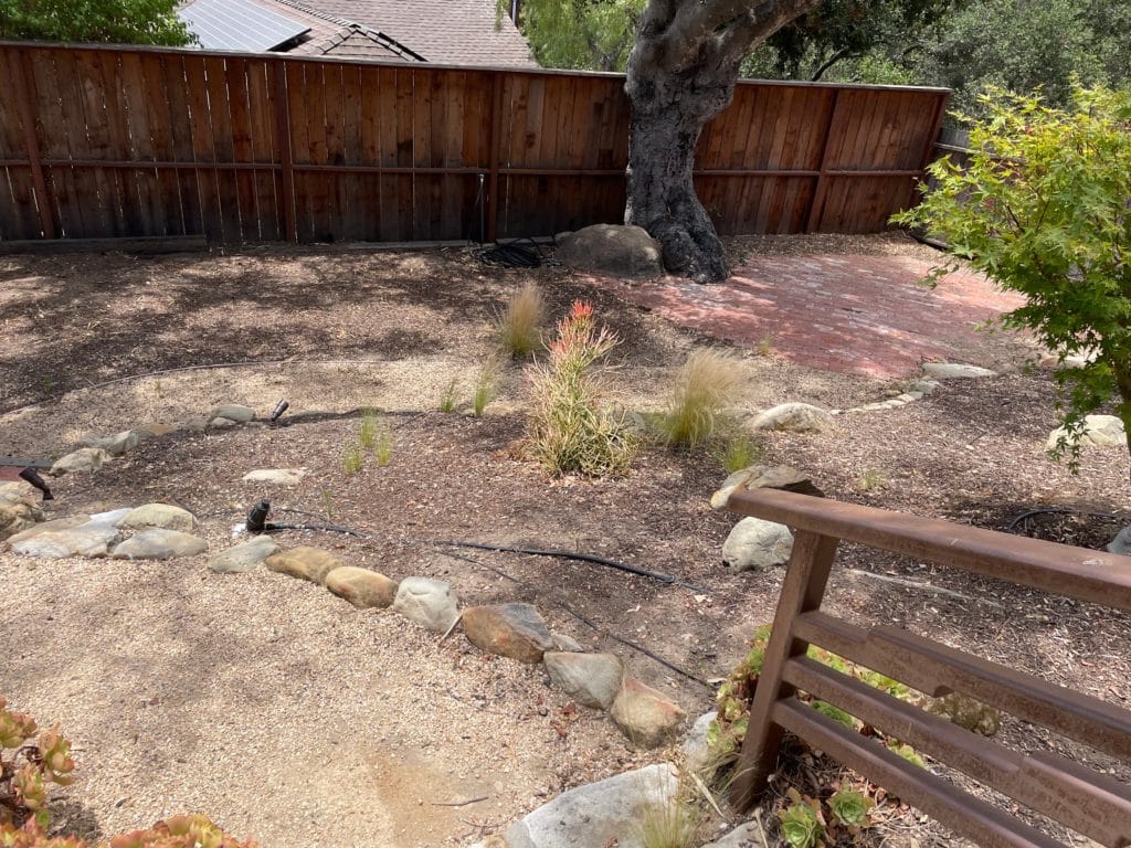 Backyard with little plants and mostly dirt Backyard with little plants and mostly dirt