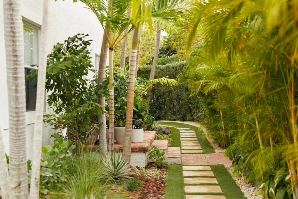 Newly landscaped side yard with new pavers and lush tropical plantings